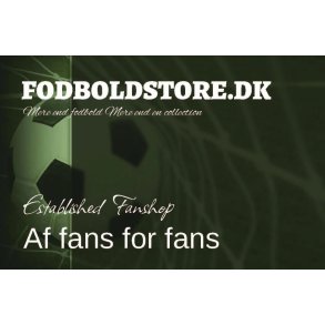 F.C. K&oslash;benhavn