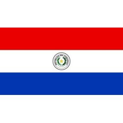 Paraguay flag 