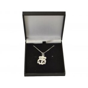 Liverpool Sterling slv kde