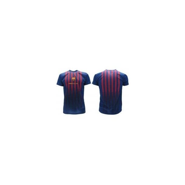FC Barcelona shirt Replica 2018/19 Haves str large/XL/2XL