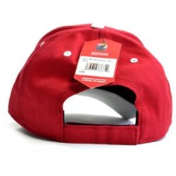 Liverpool Classic Kleberg cap rd 