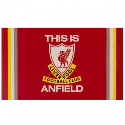 Liverpool This Is Anfield  flag