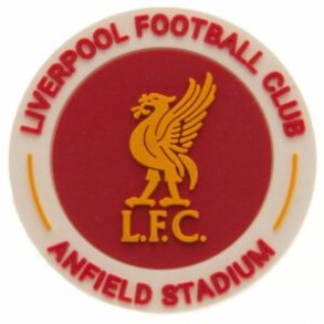 Liverpool pin/badge