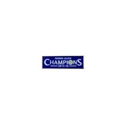 Leicester City Champions pin